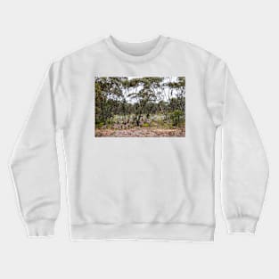 Mallee Scrub at Mungo with Mulla Mulla Crewneck Sweatshirt